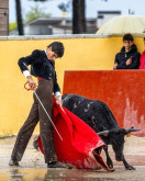 Debute em Portugal de Martim Filipe